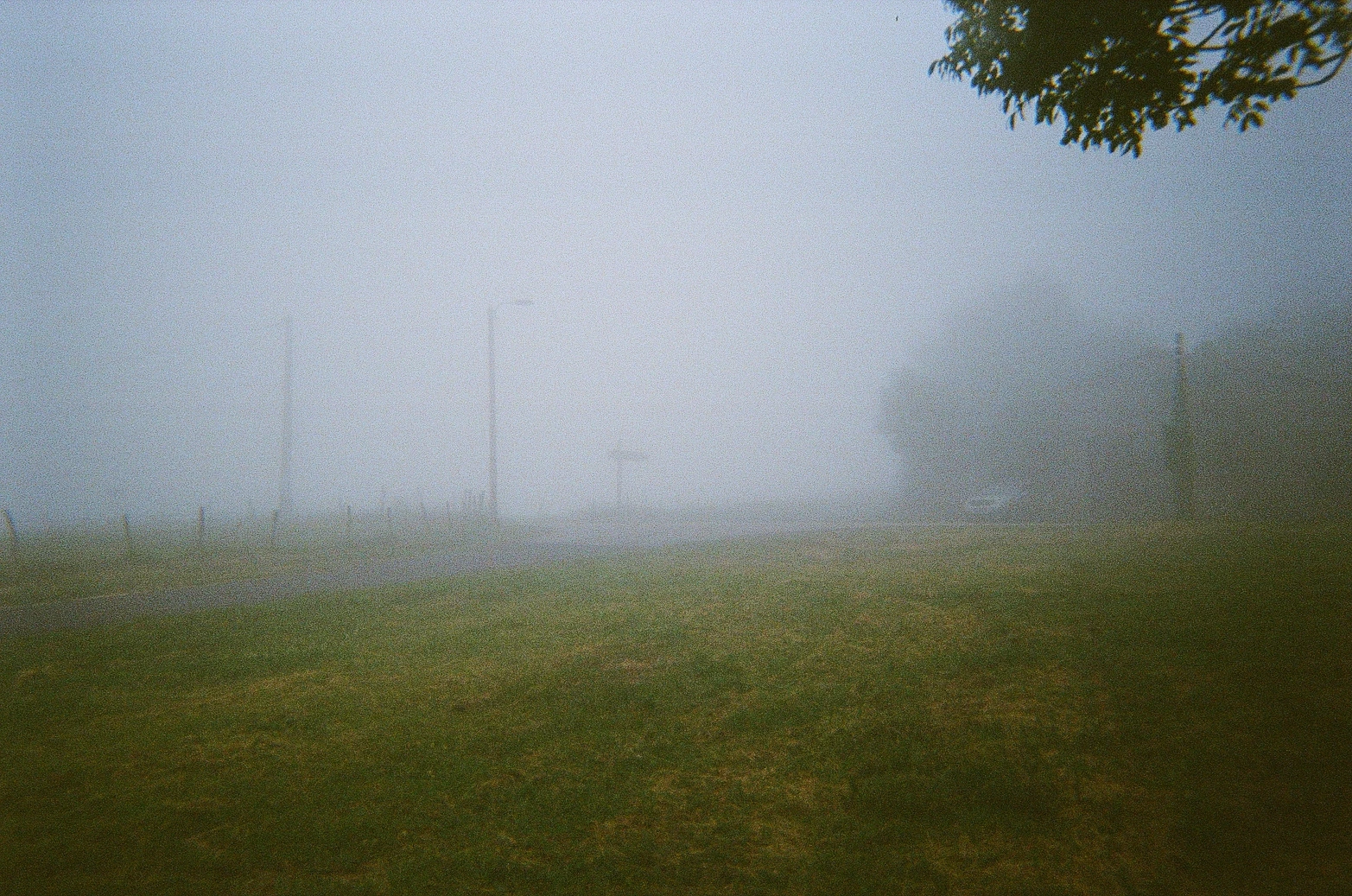 Fog