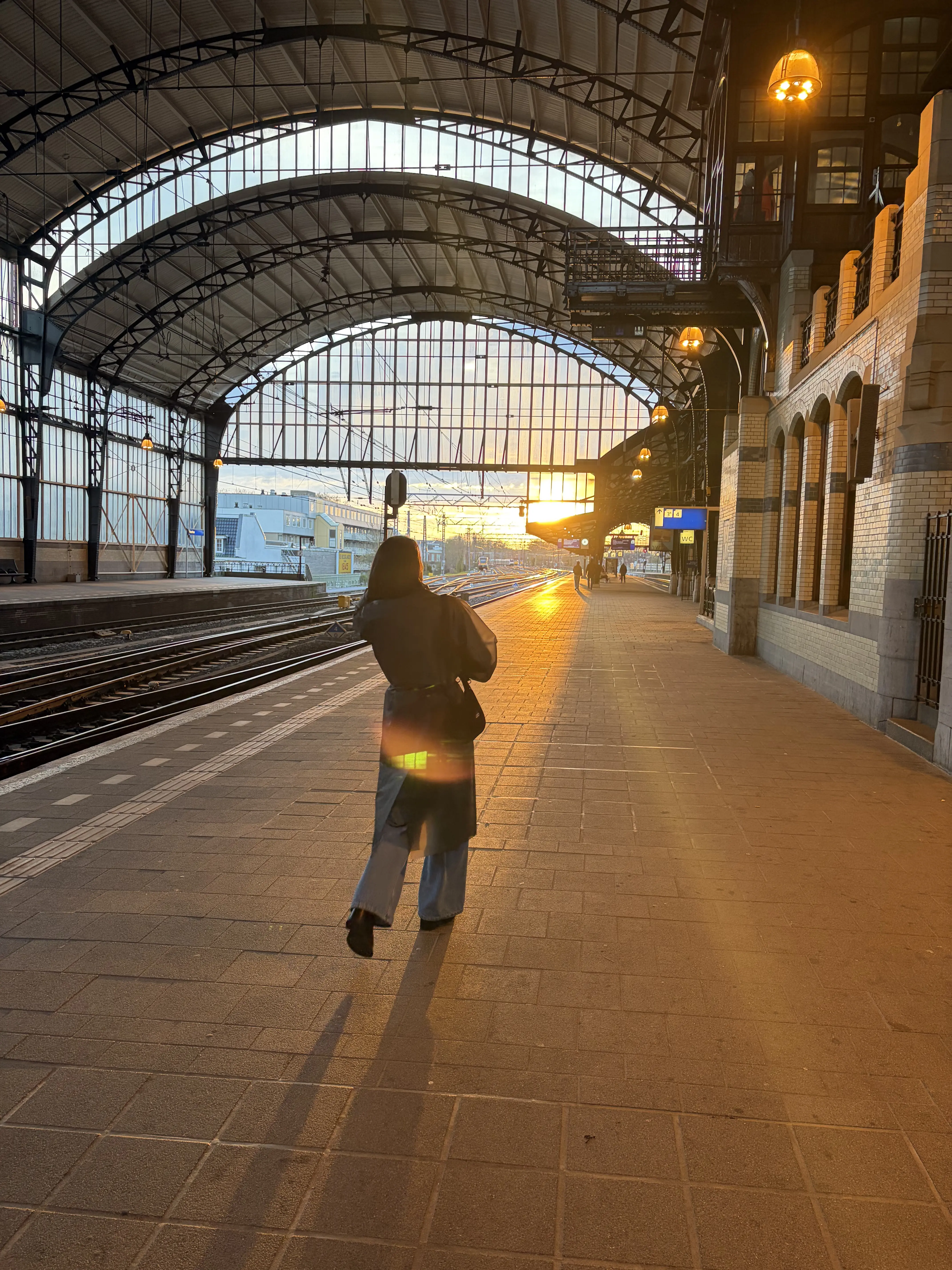 Sunshine
